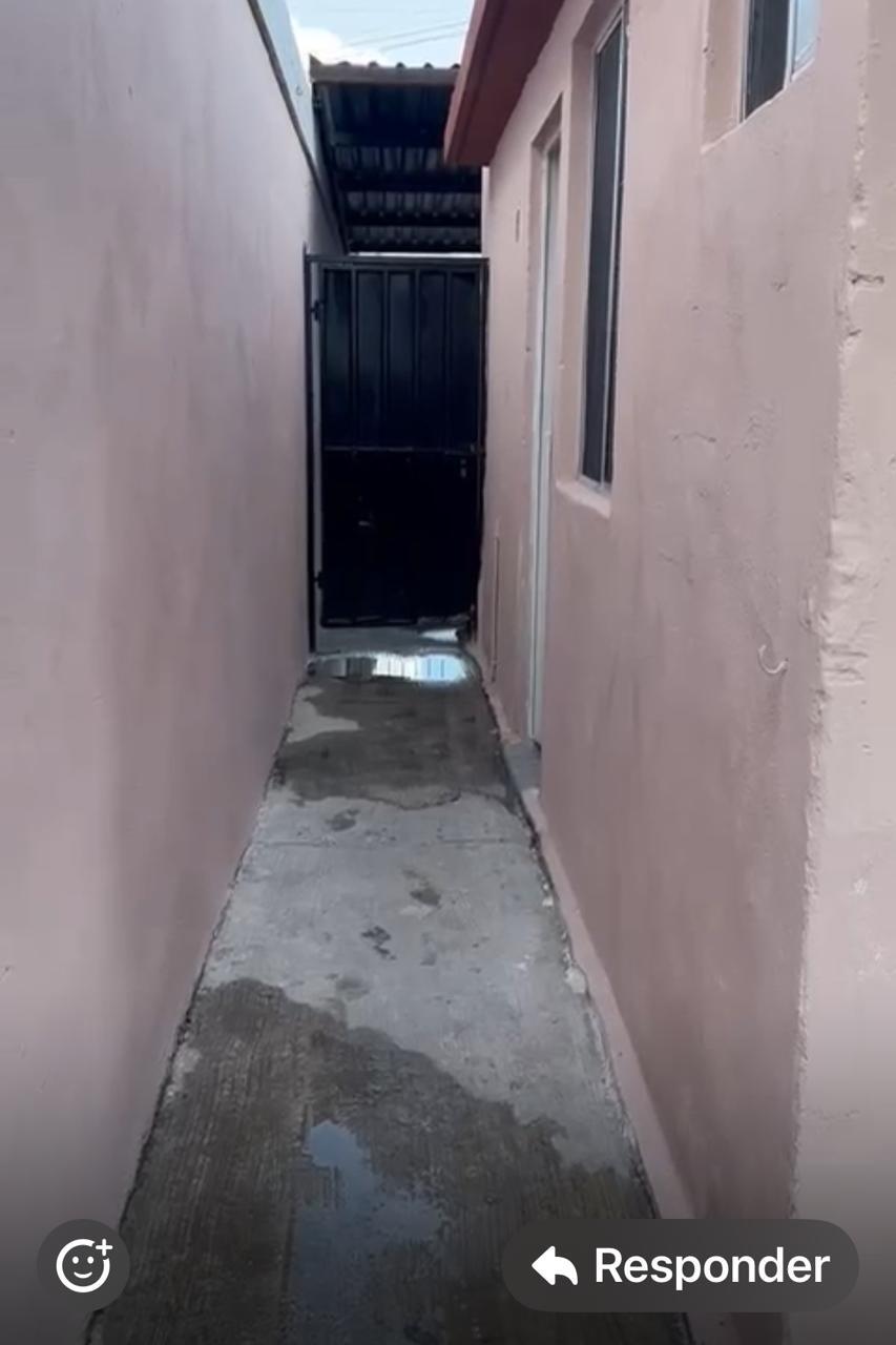 5 de 12