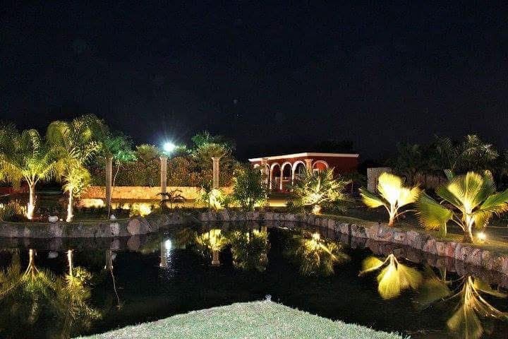 1 de 12