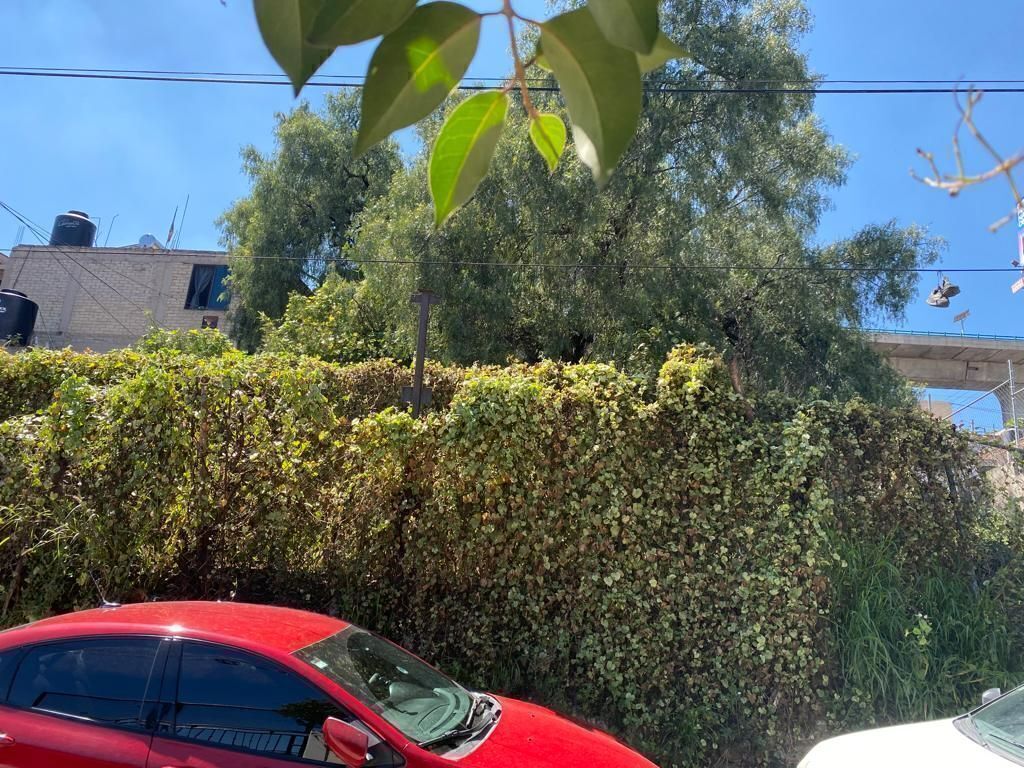 3 de 8