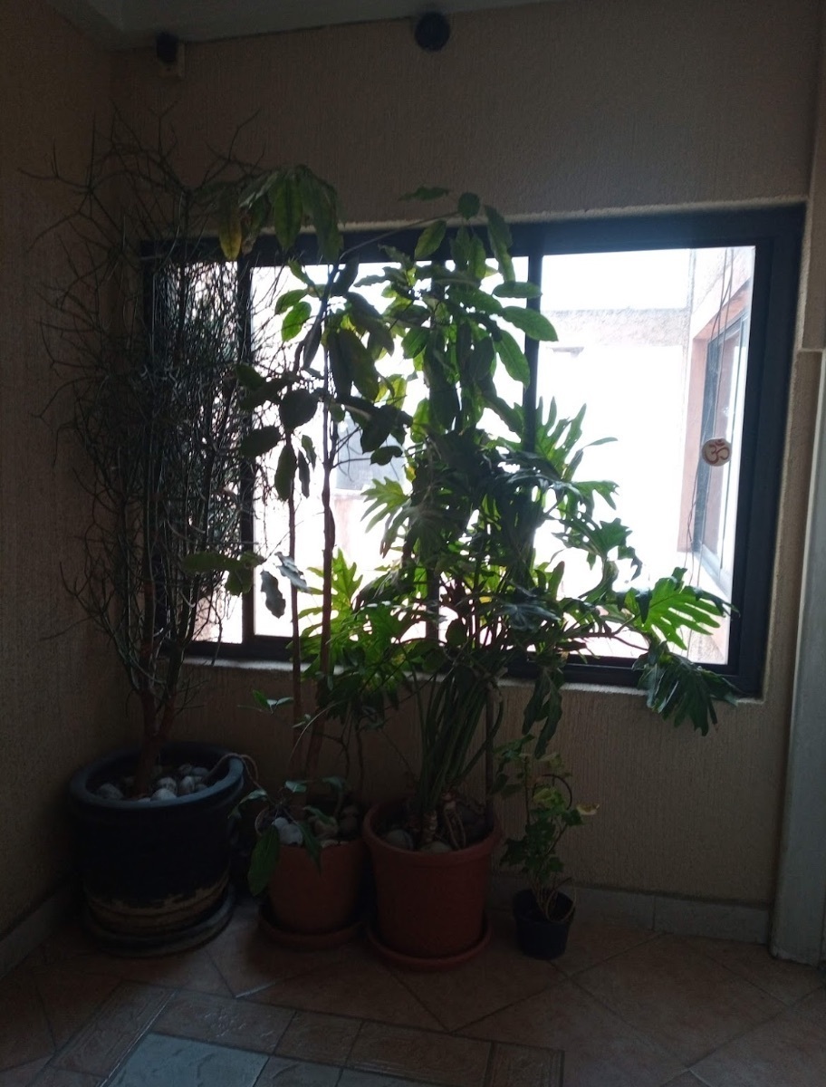 28 de 29