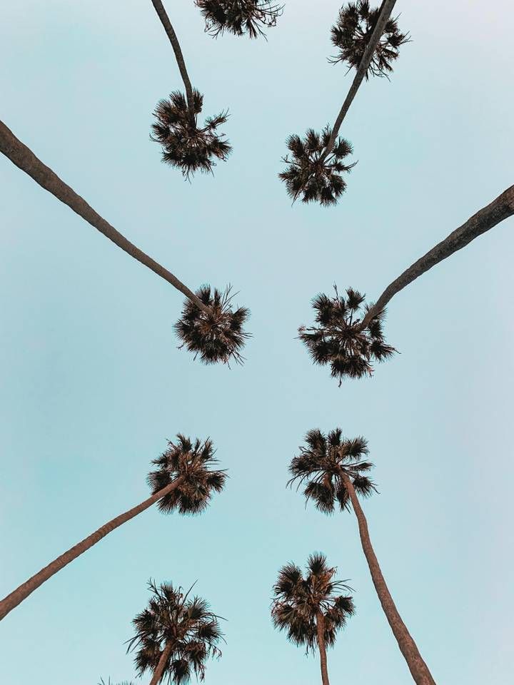 28 de 38