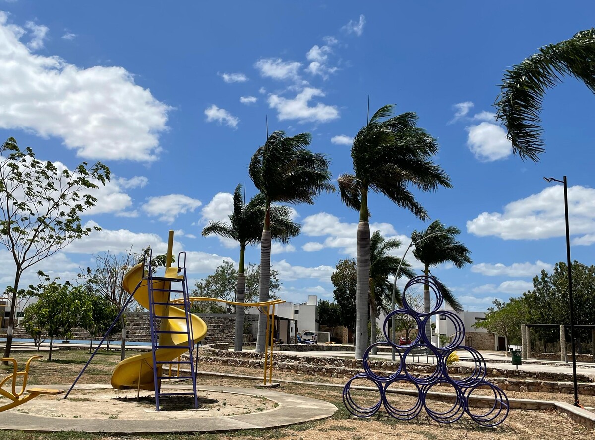 5 de 5