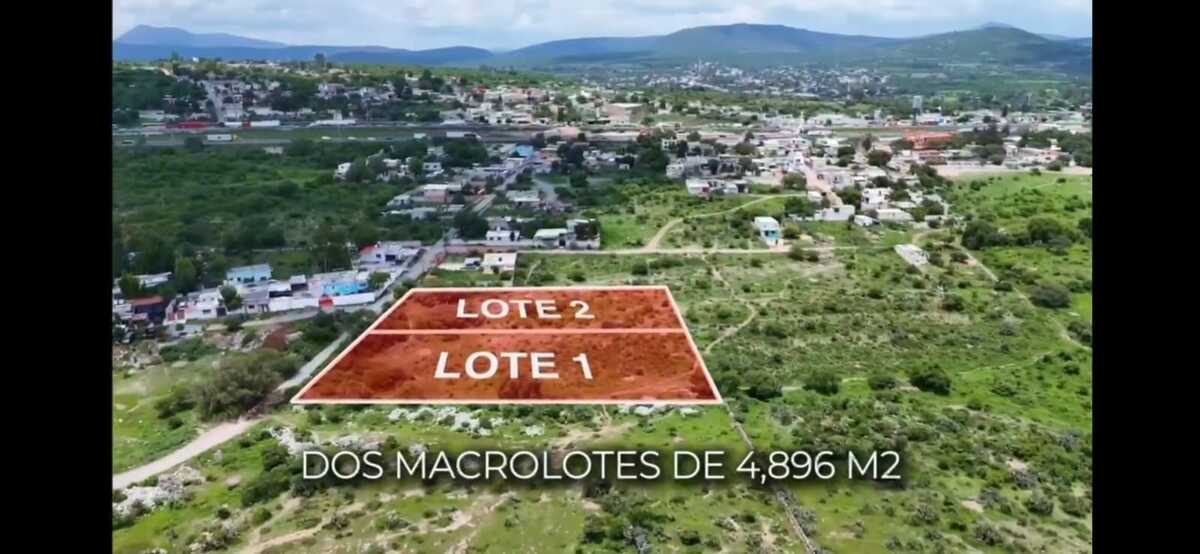 5 de 7