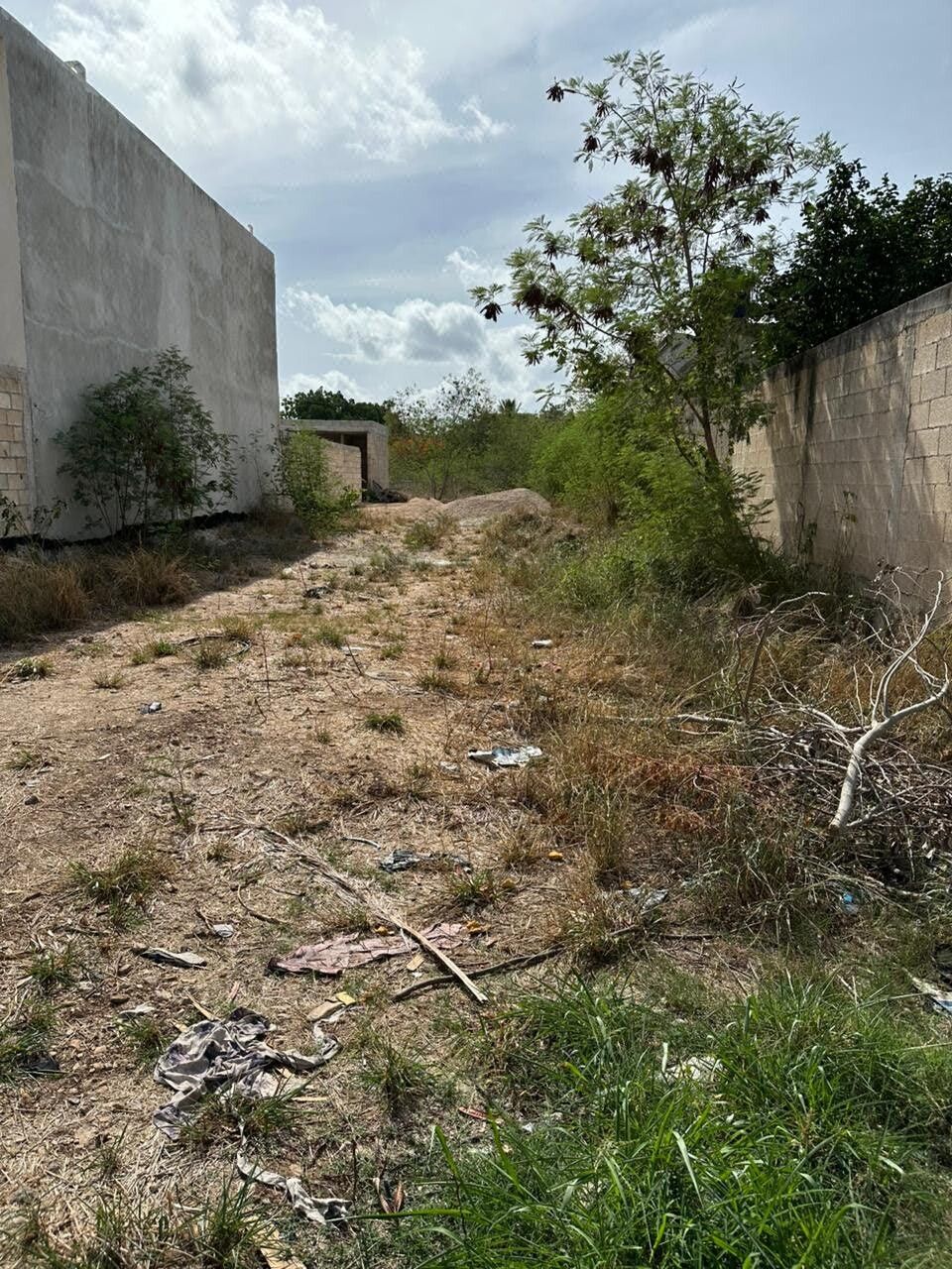 Terreno en Venta Bardeado Dzytia Merida Yucatán