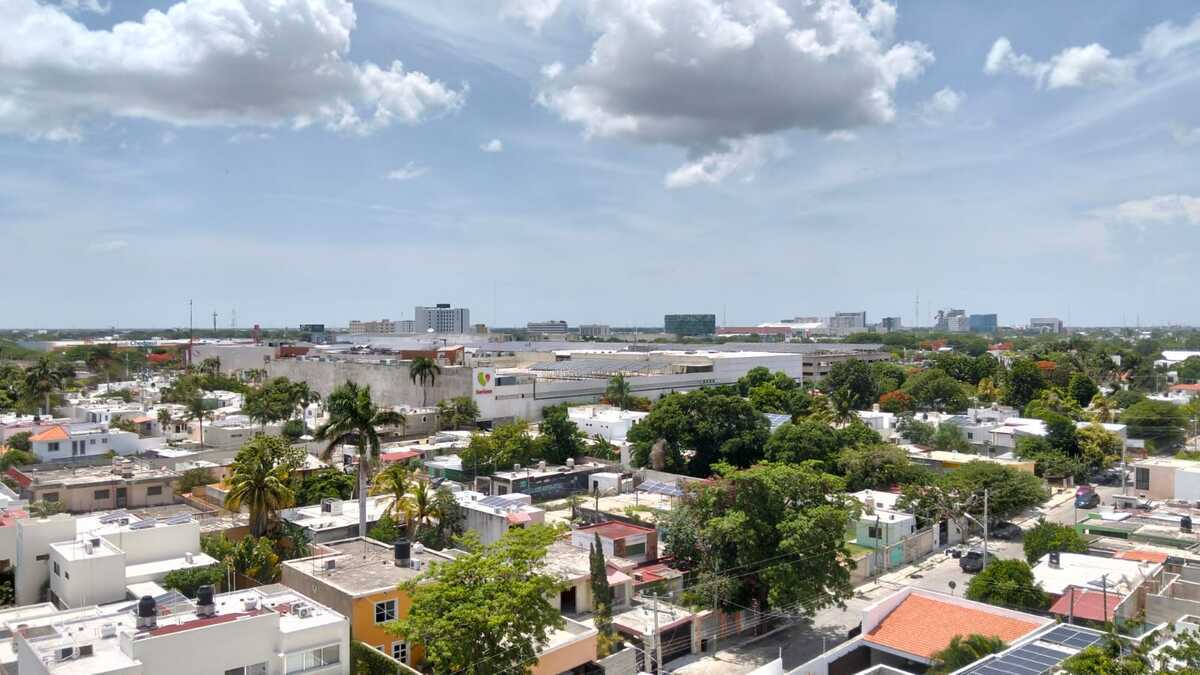 12 de 50