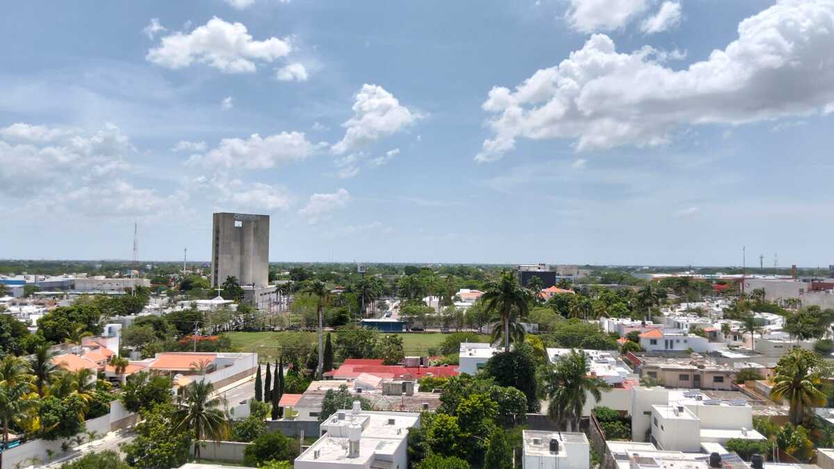 14 de 50