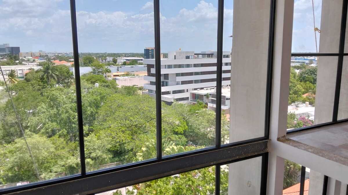 19 de 50