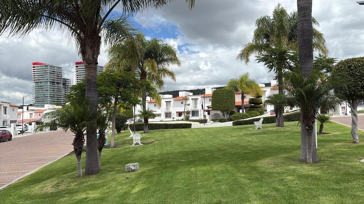 14 de 14