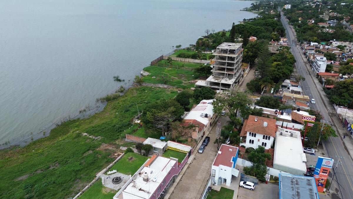 11 de 29