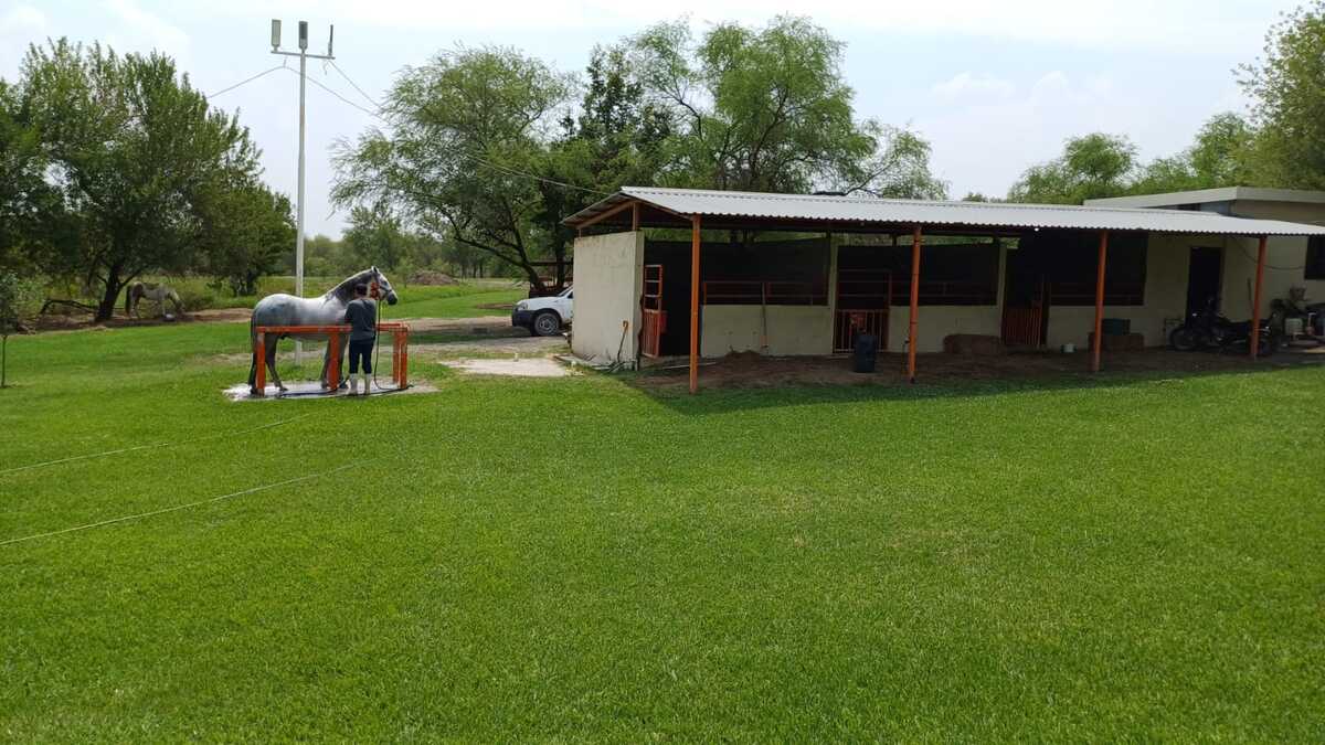 2 de 28