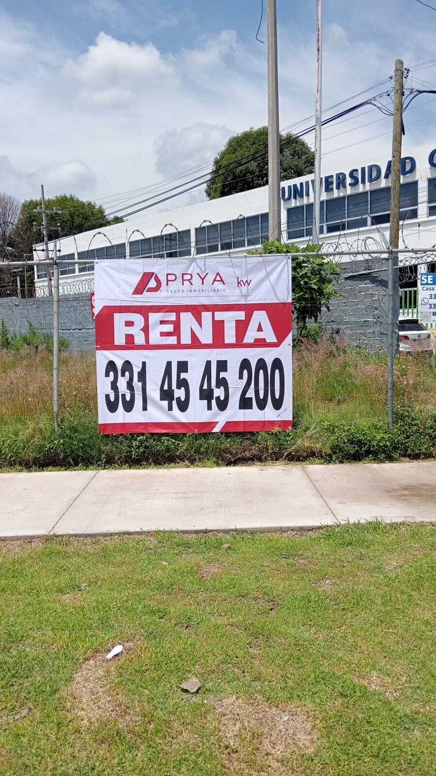9 de 19