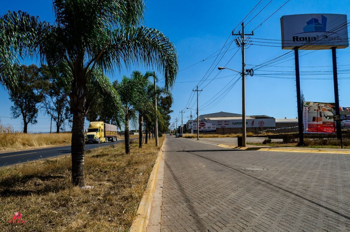 8 de 20