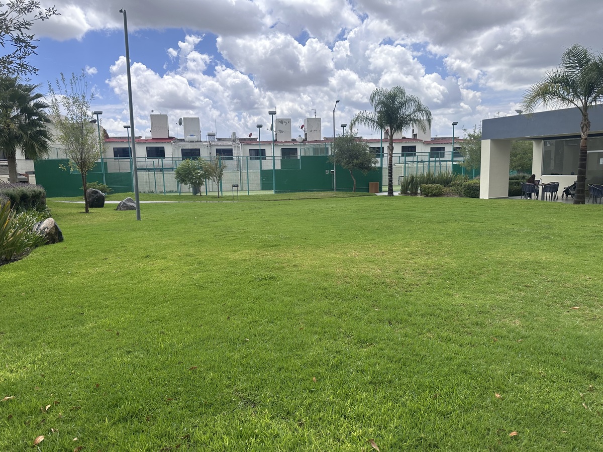 3 de 12