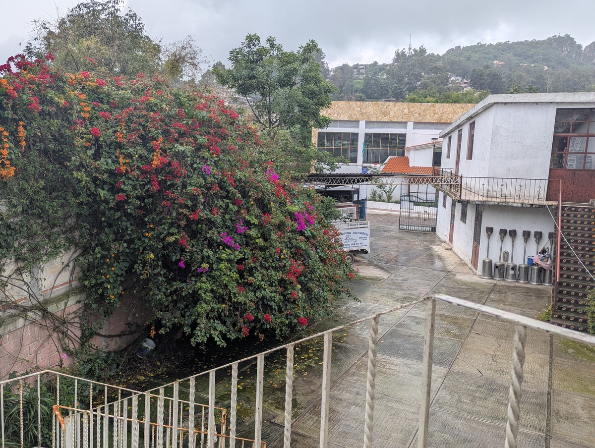 14 de 25