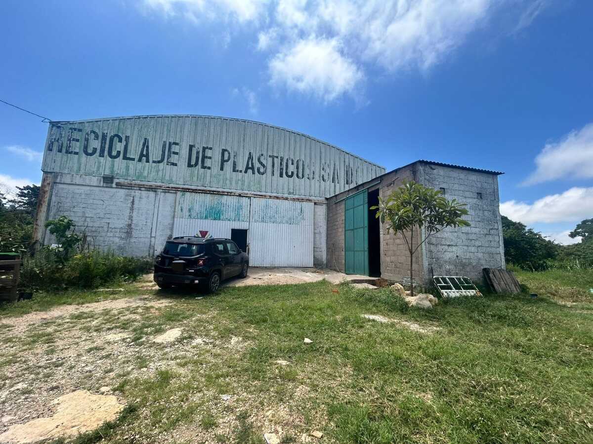 1 de 7