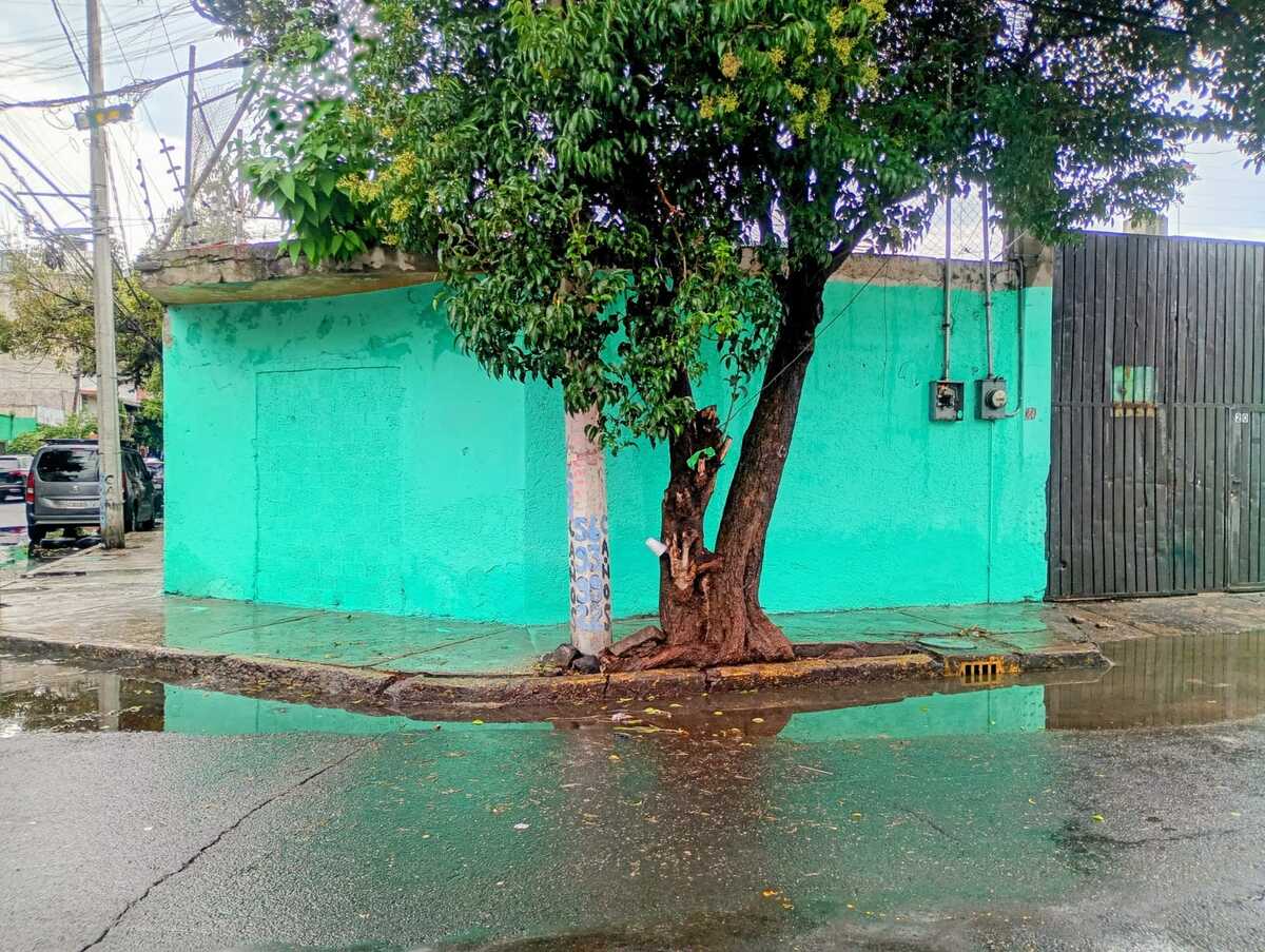 3 de 20