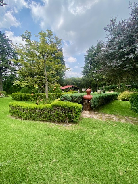 11 de 32
