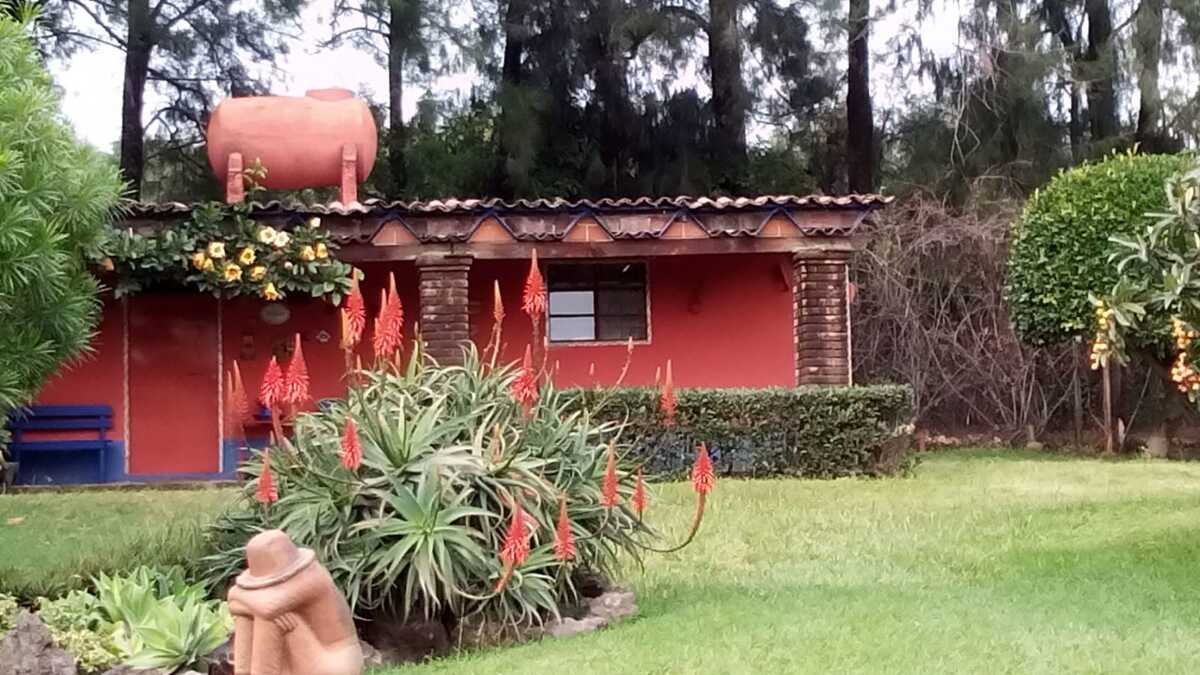 28 de 32