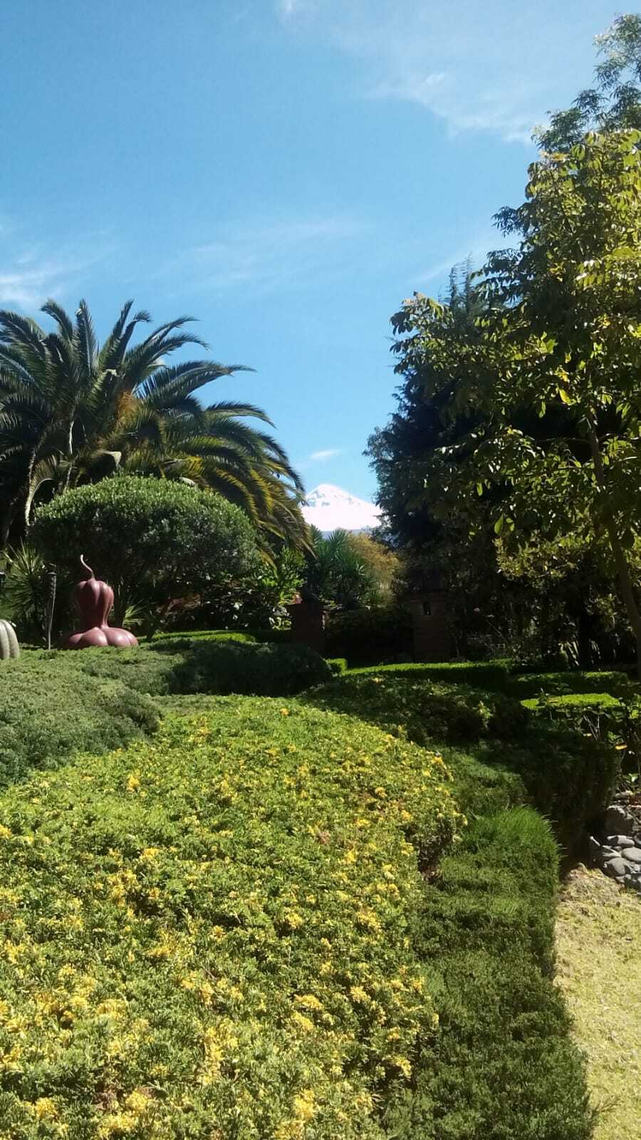 32 de 32