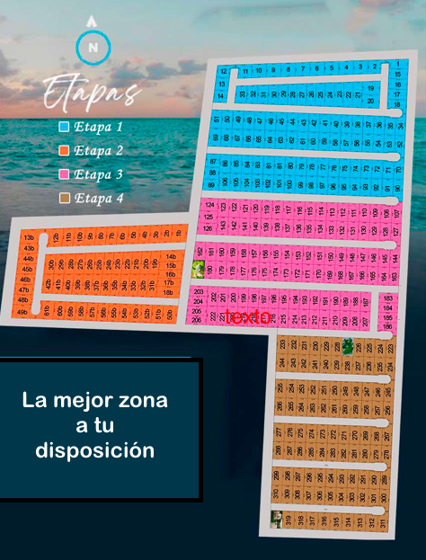 4 de 6