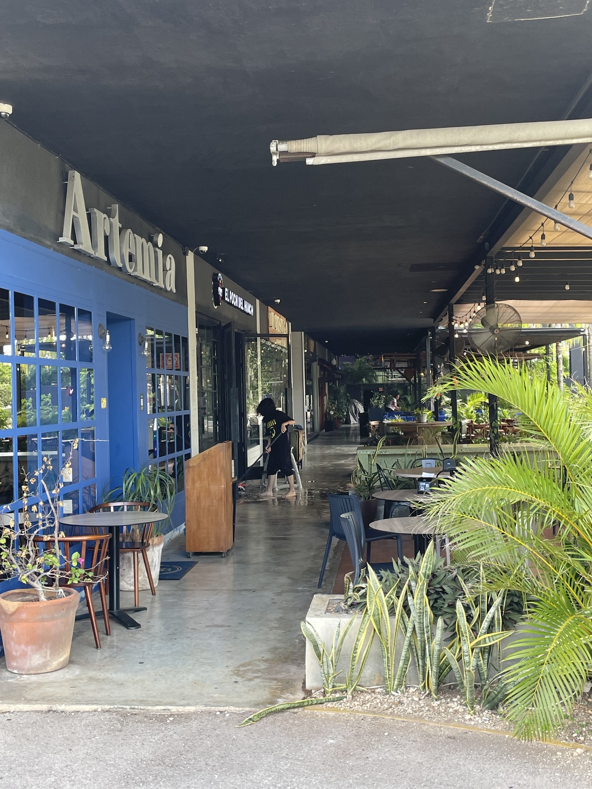 19 de 20: Área comercial planta baja