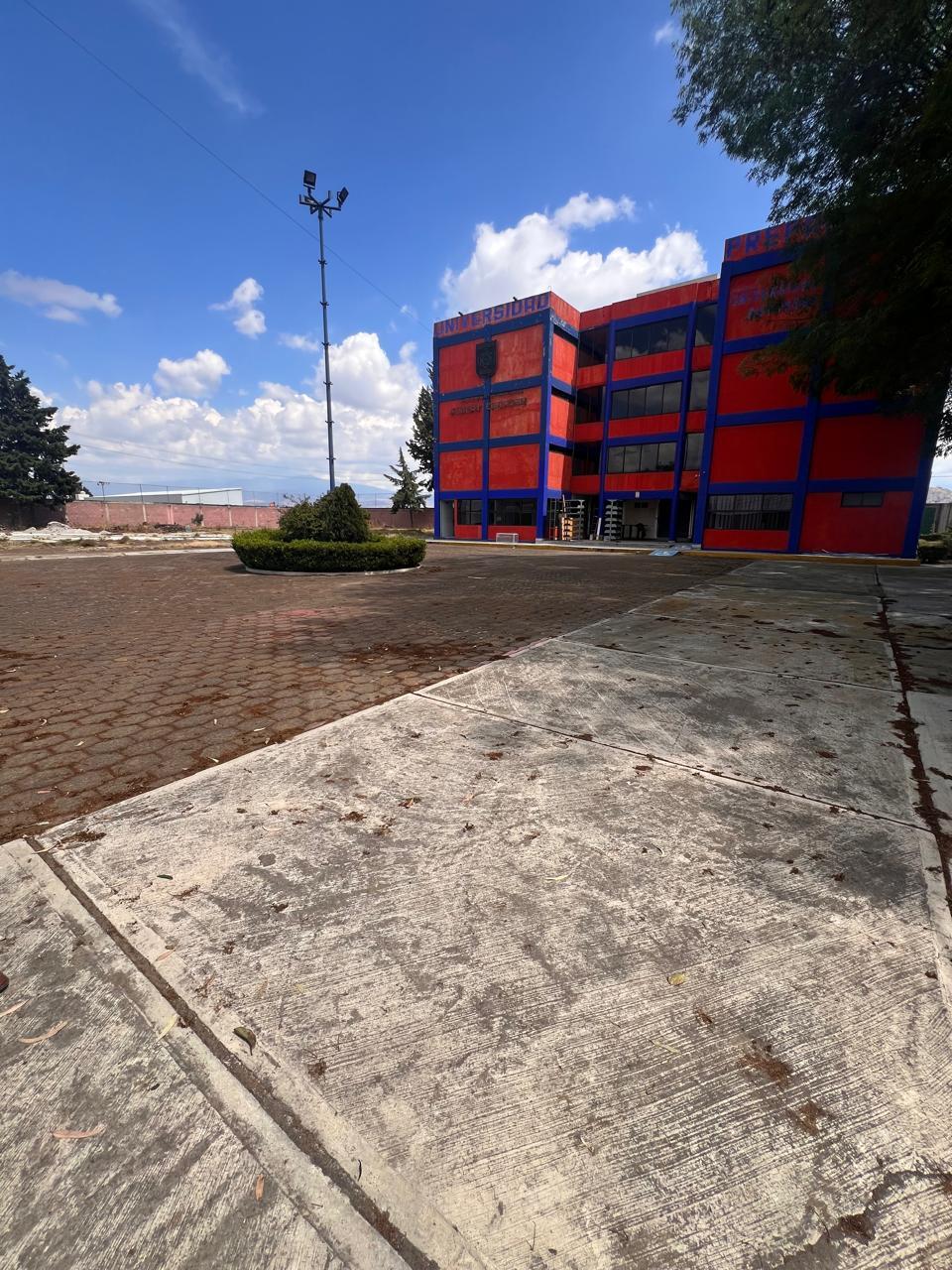 3 de 11