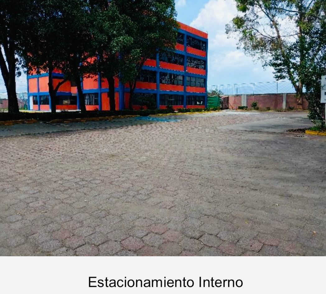 4 de 11