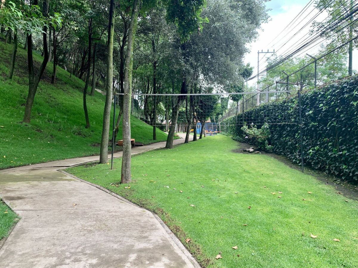 21 de 29: Jardín común