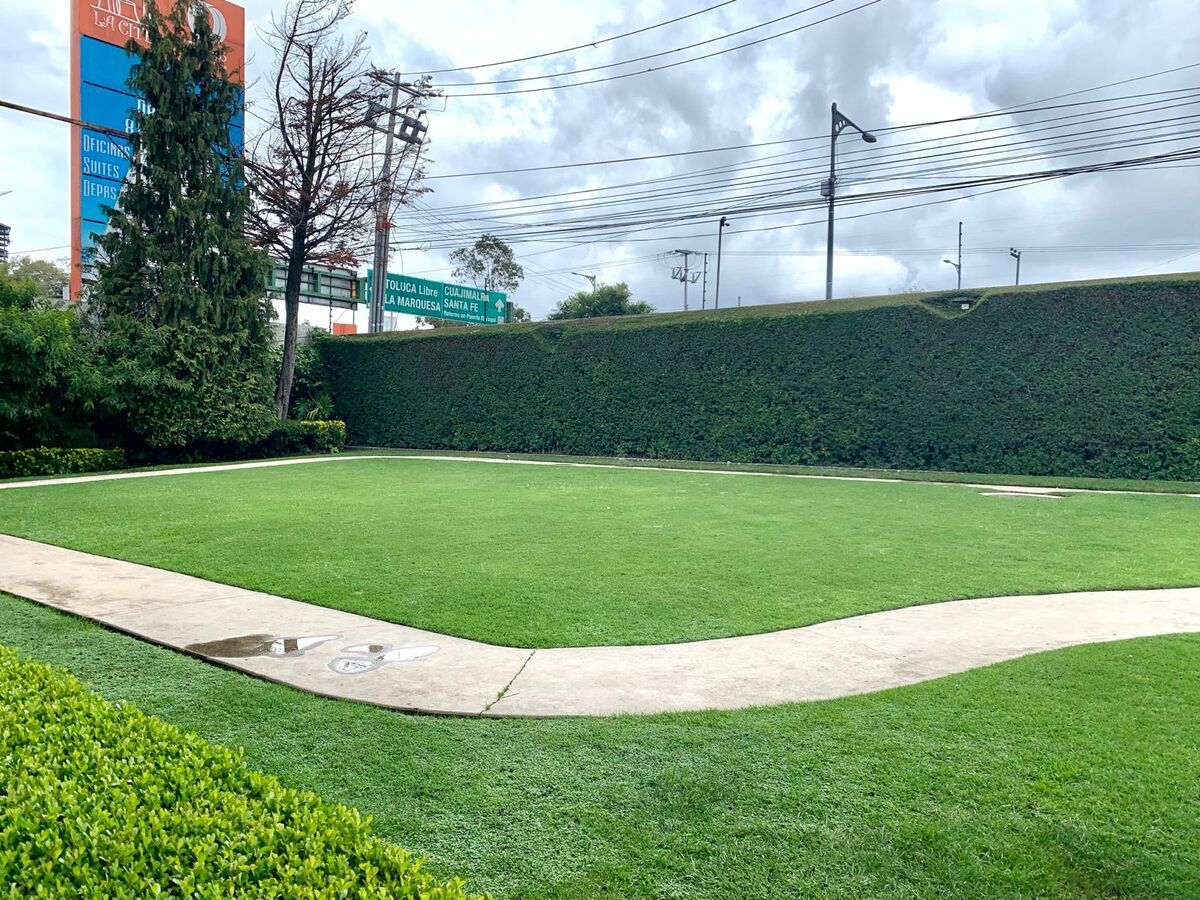 22 de 29: Jardín común