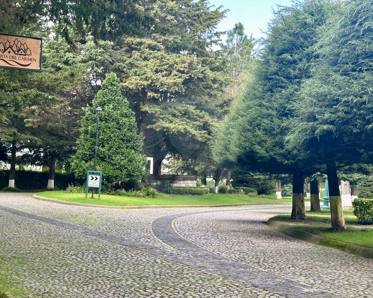 1 de 8