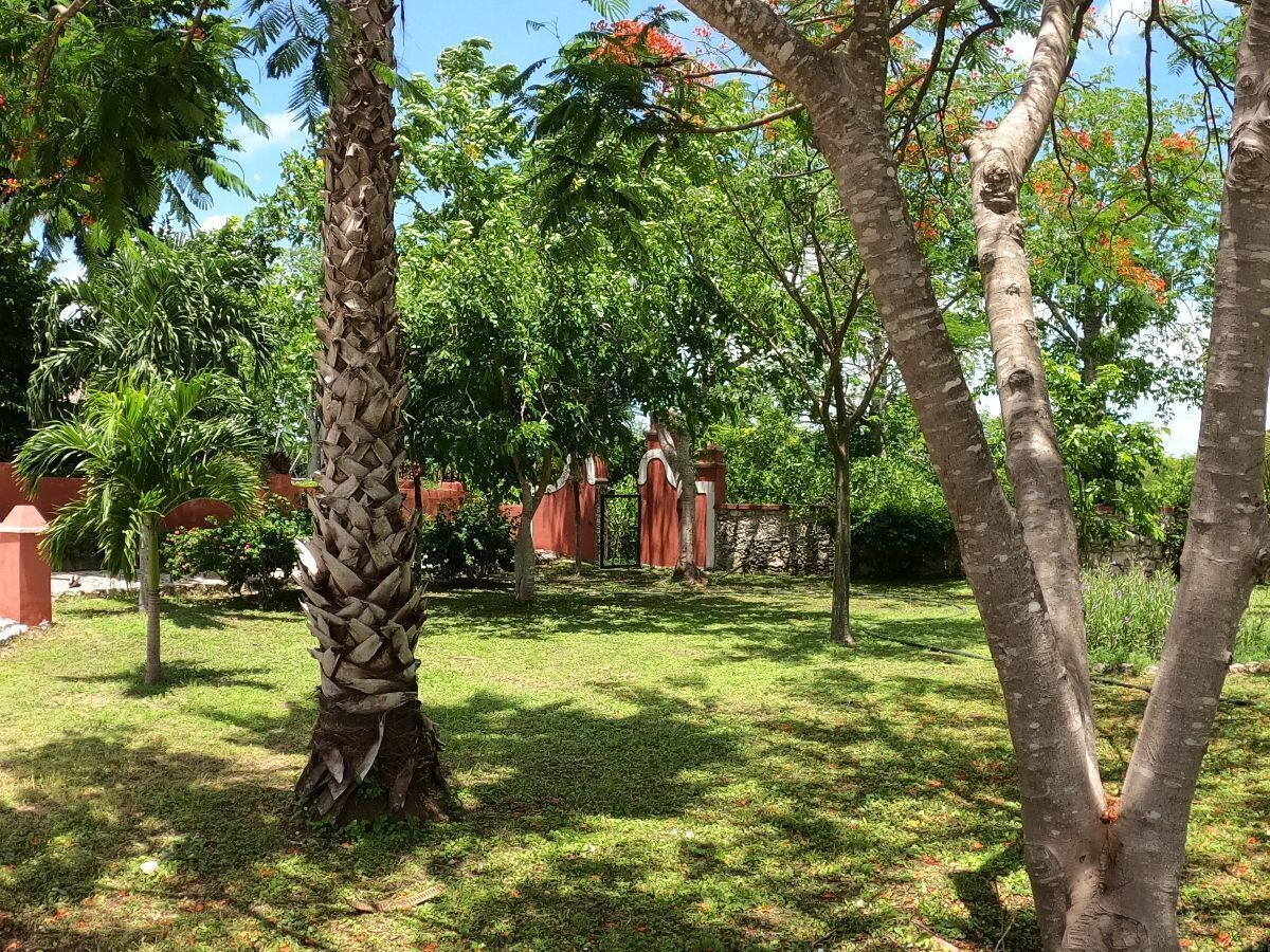 4 de 6