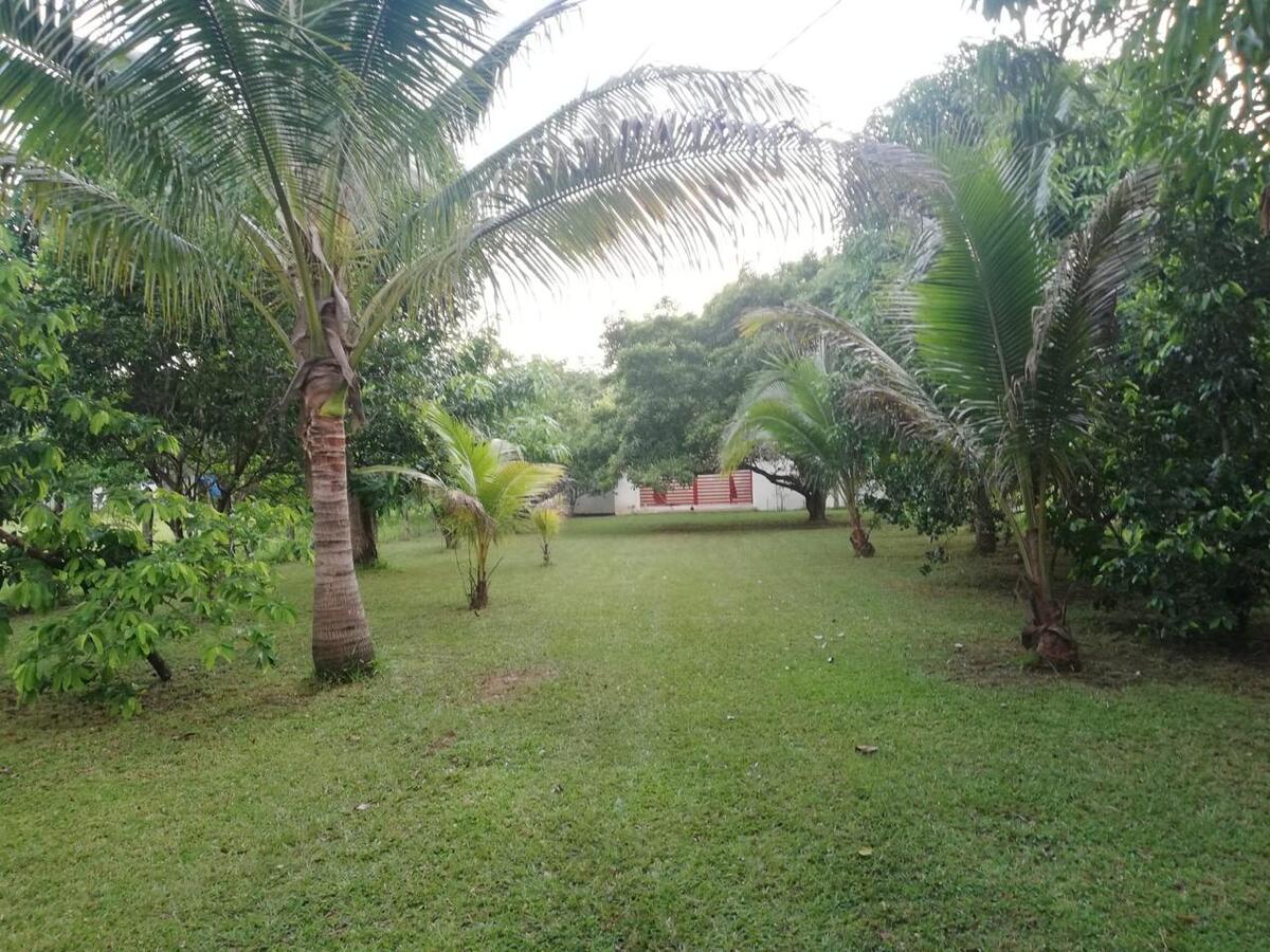 2 de 6