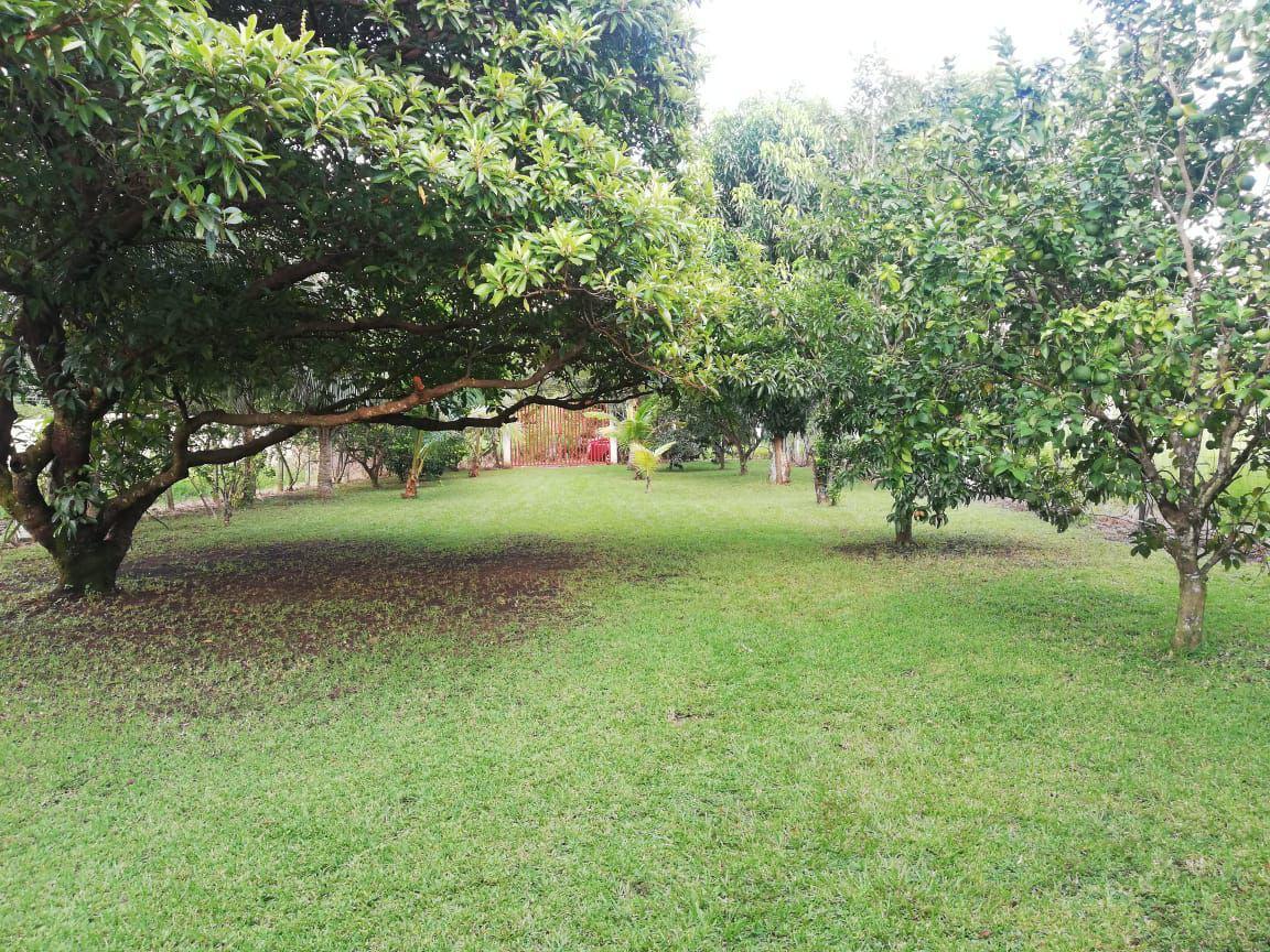 3 de 6