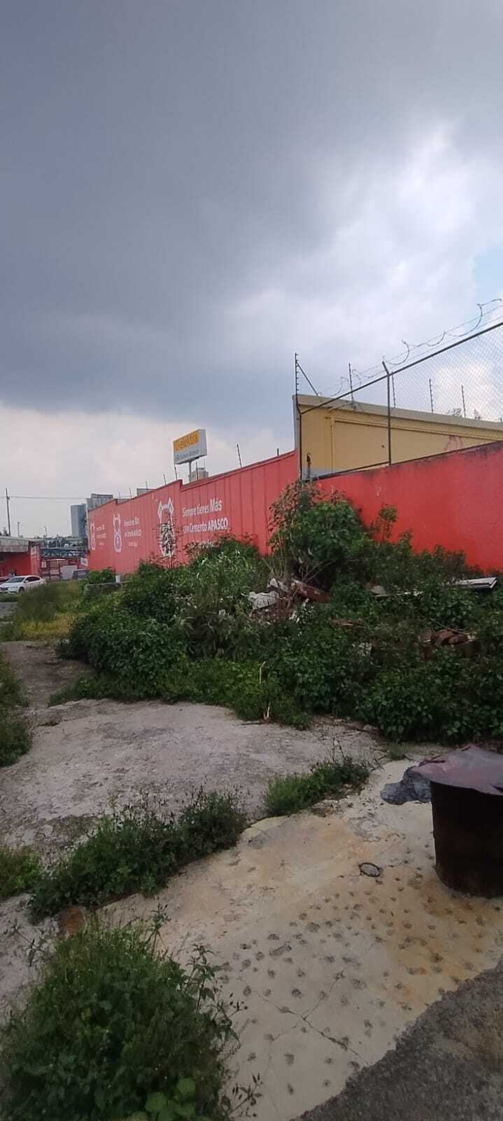 4 de 7