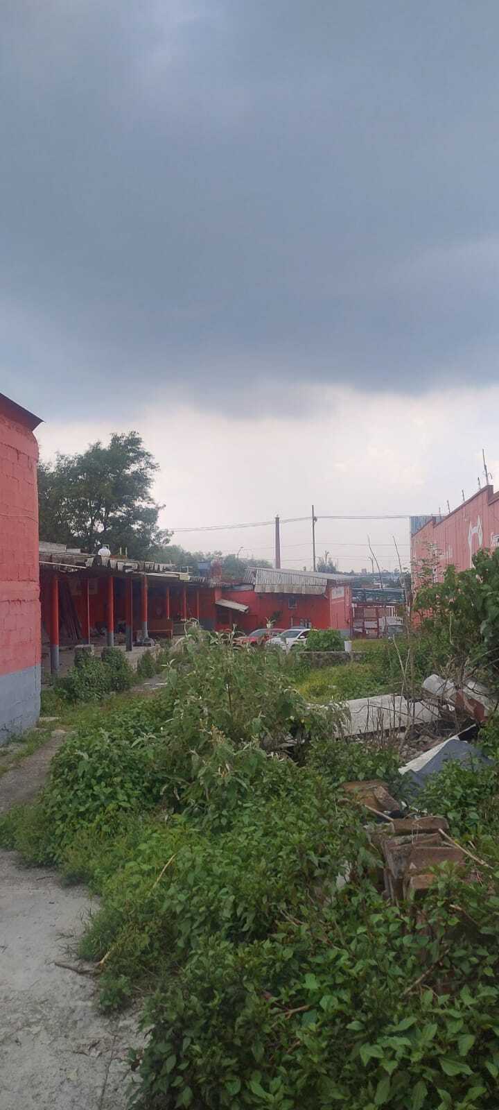 7 de 7