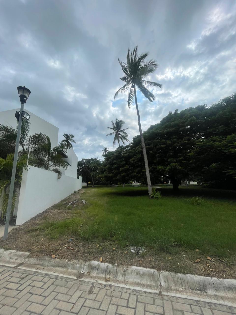 2 de 6
