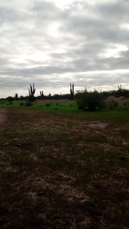 2 de 19