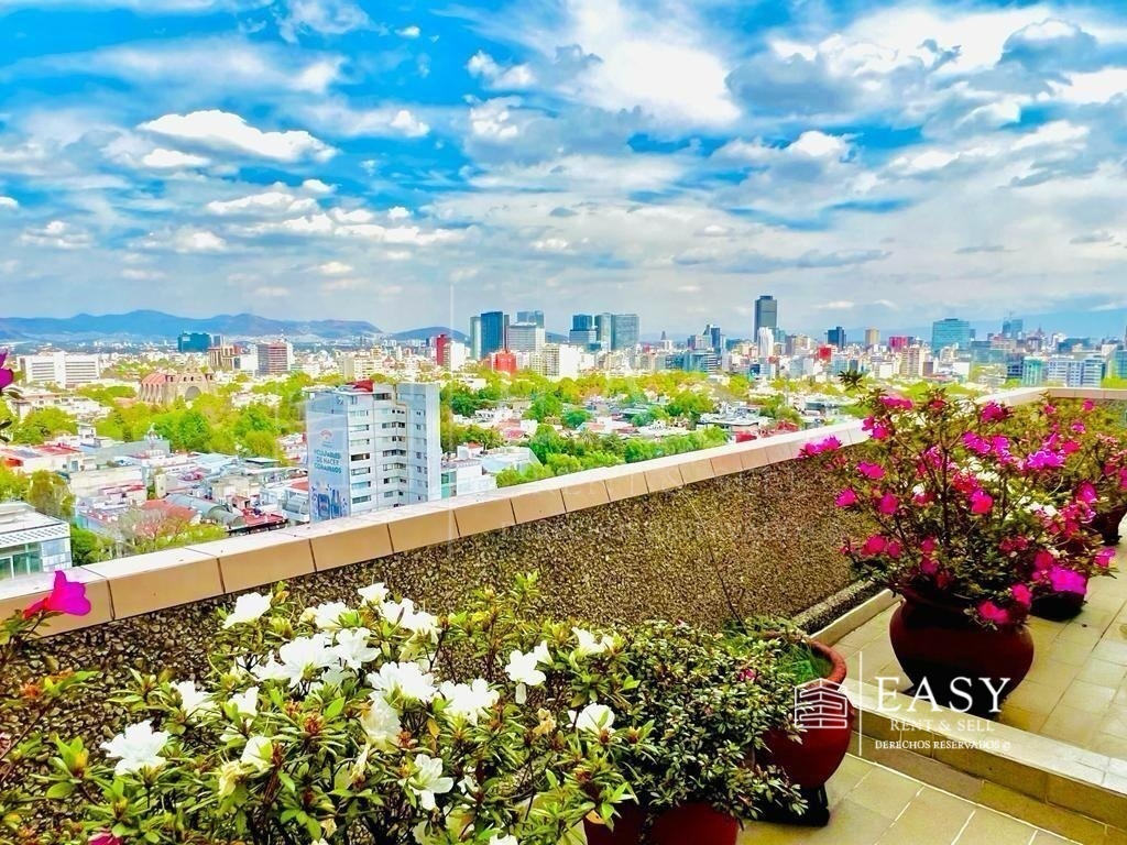 3 de 17