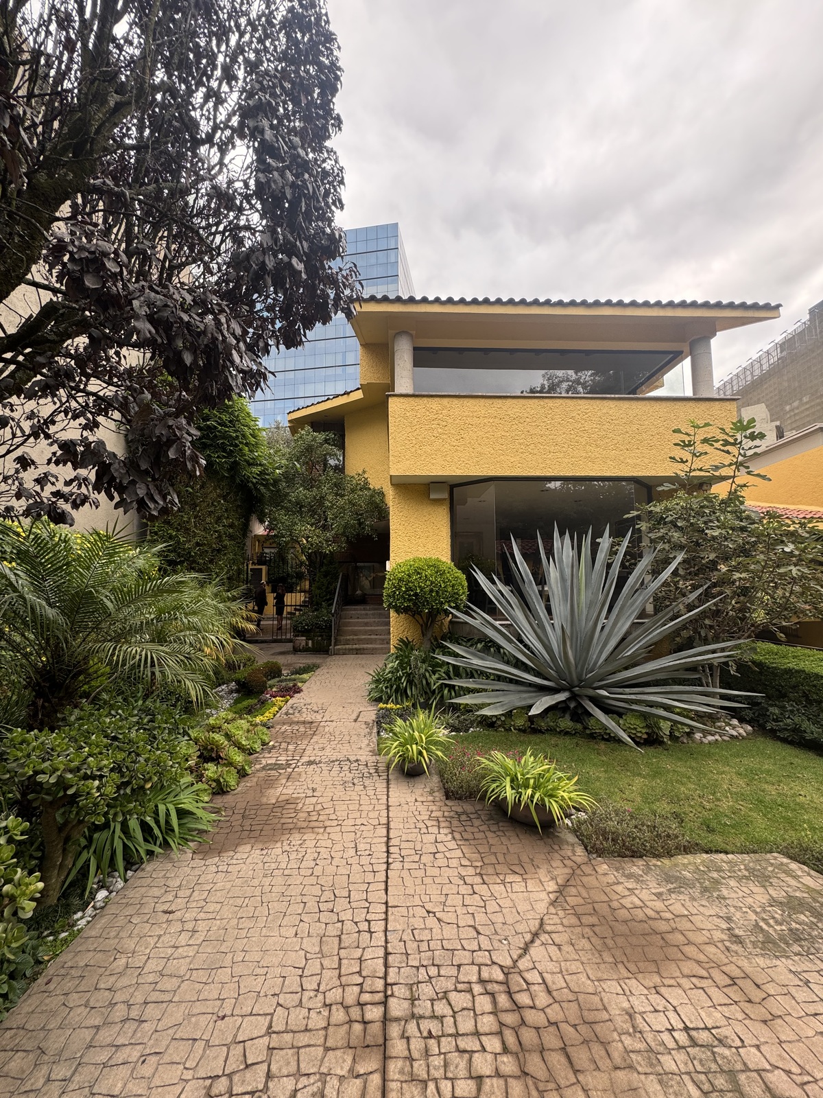 2 de 31