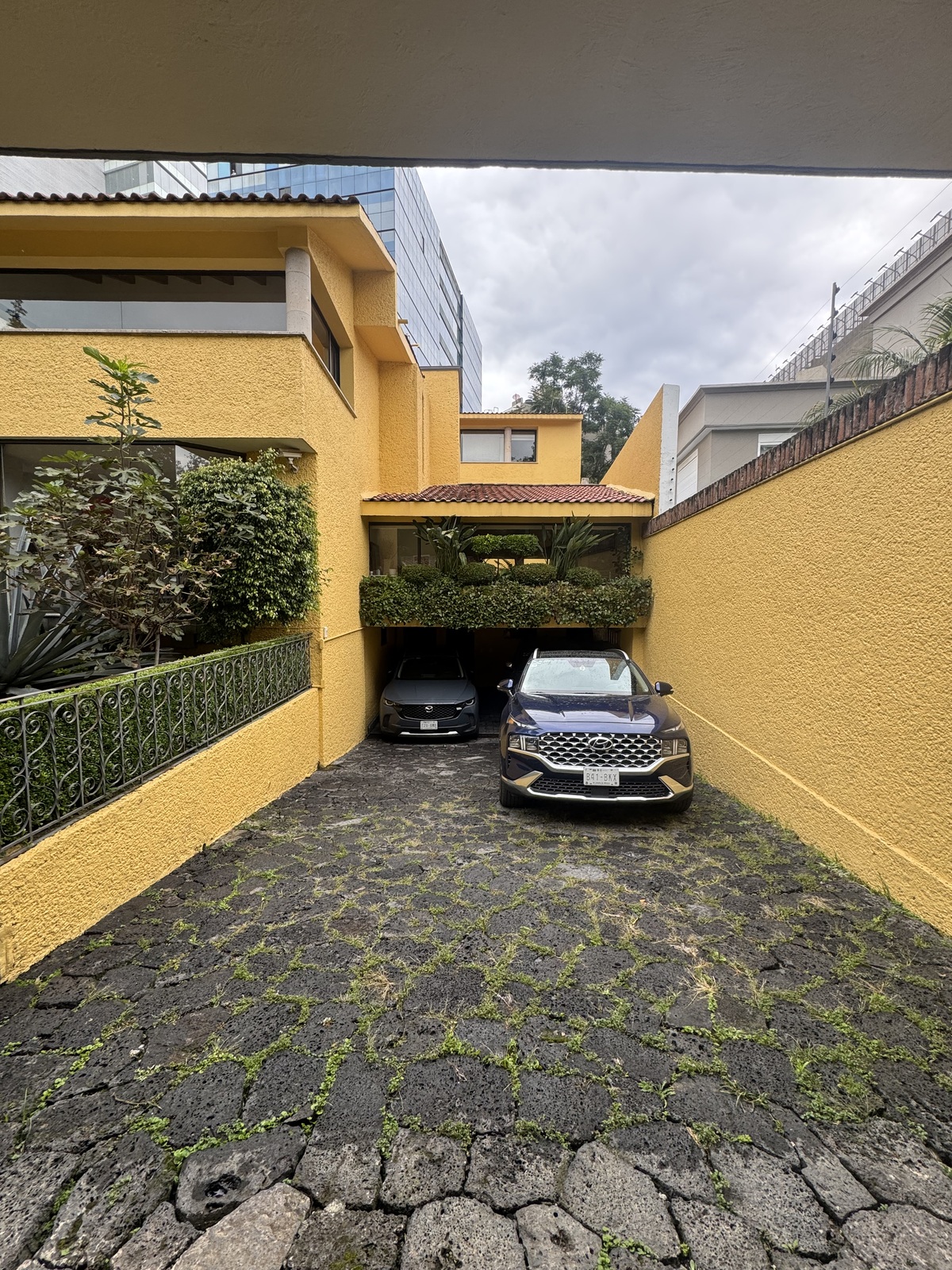 4 de 31