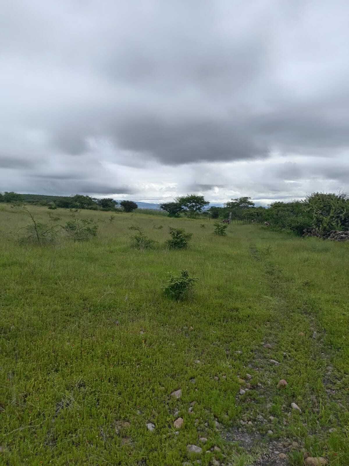 2 de 4