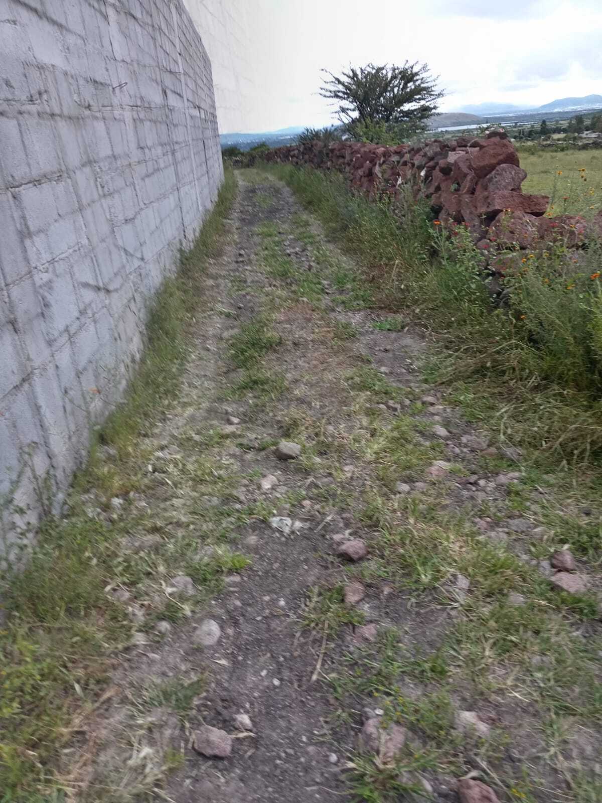4 de 4