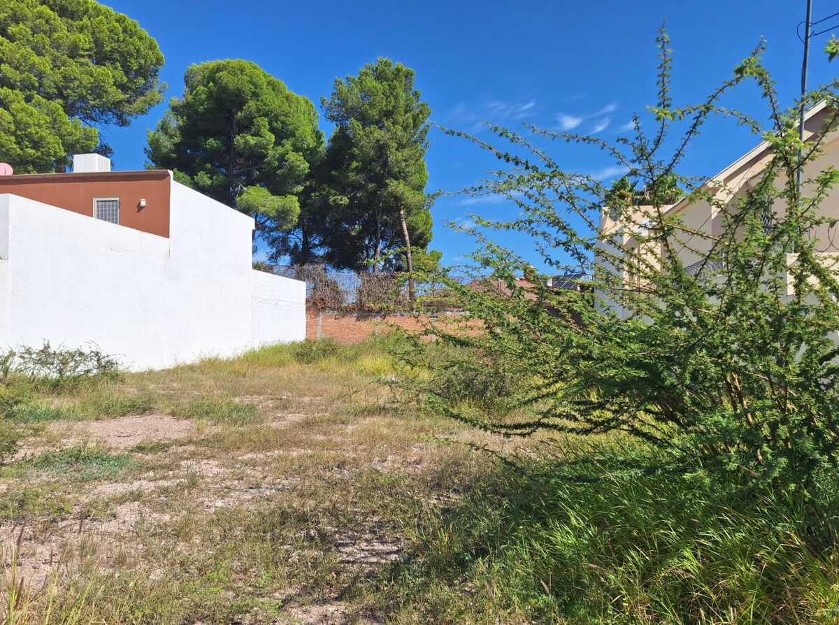 3 de 7