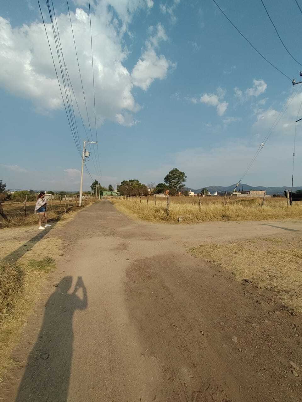 2 de 12