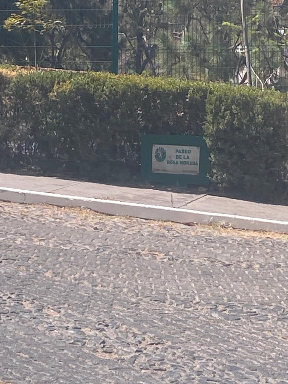 4 de 4