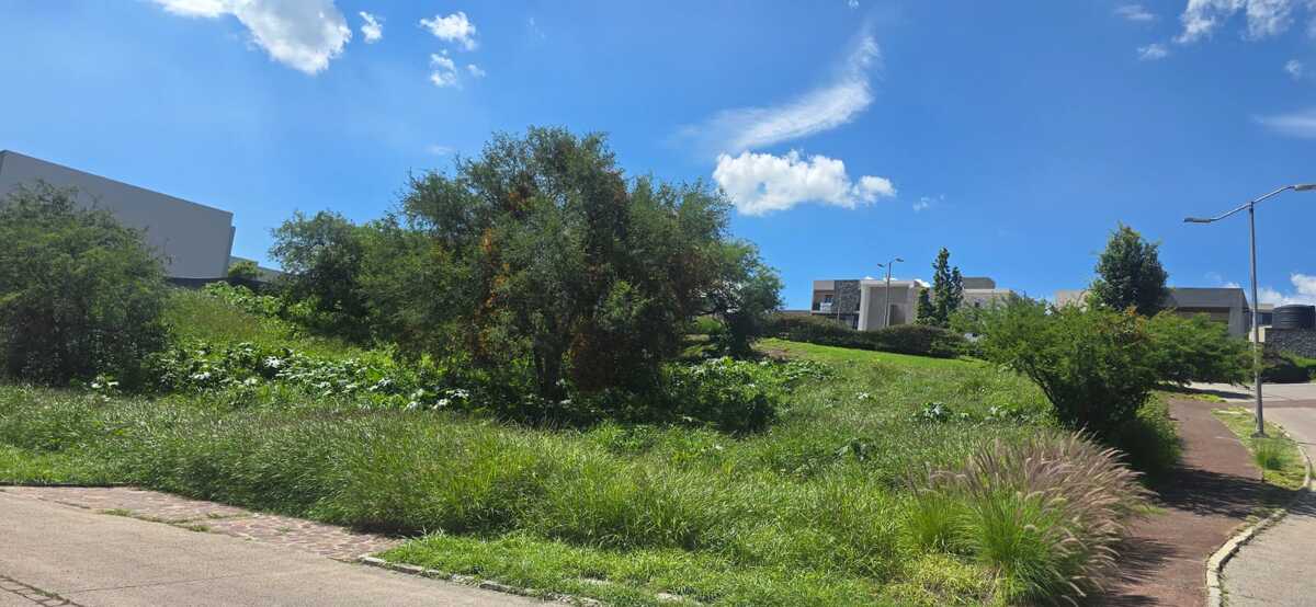 11 de 15