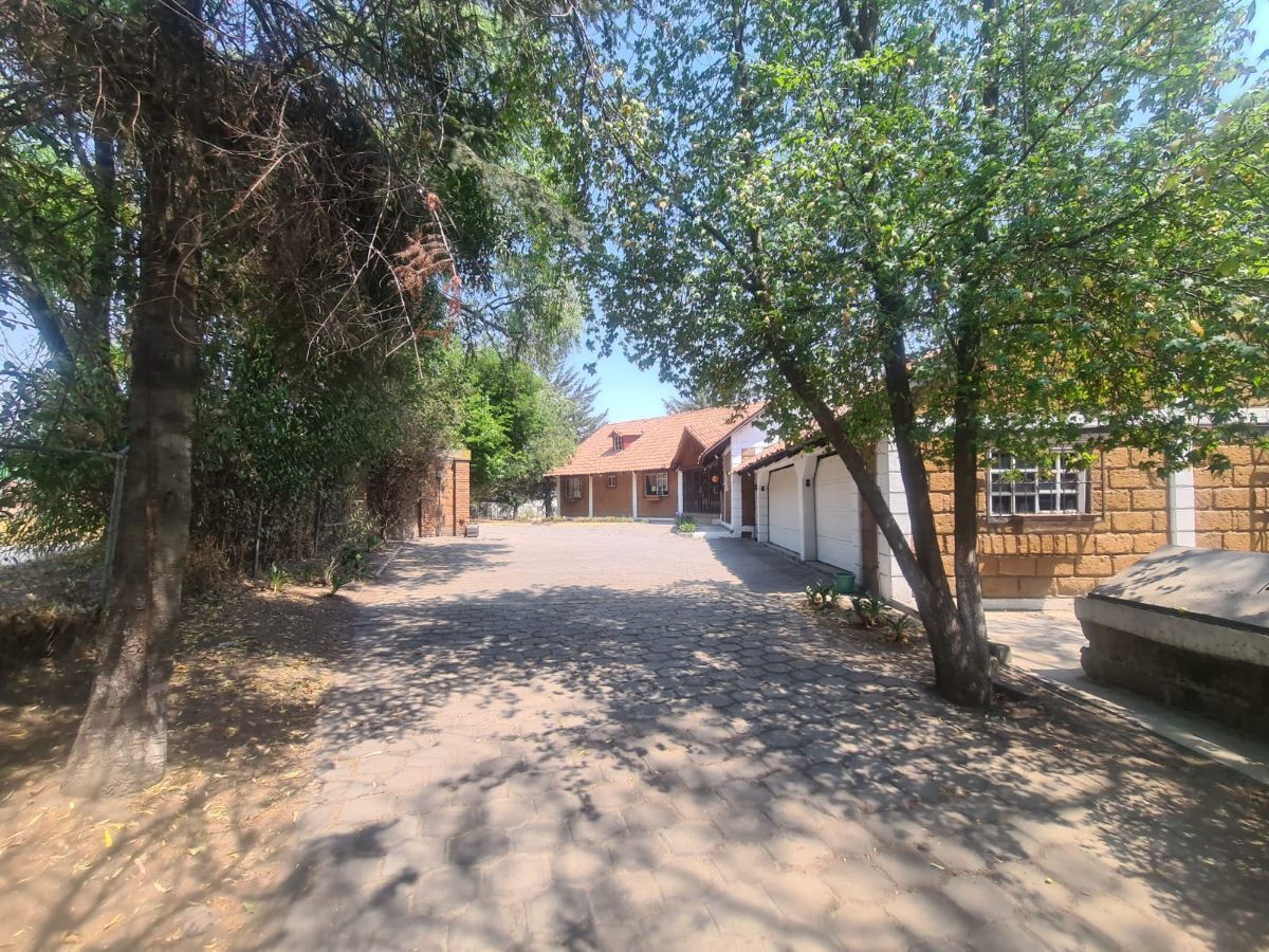 43 de 46