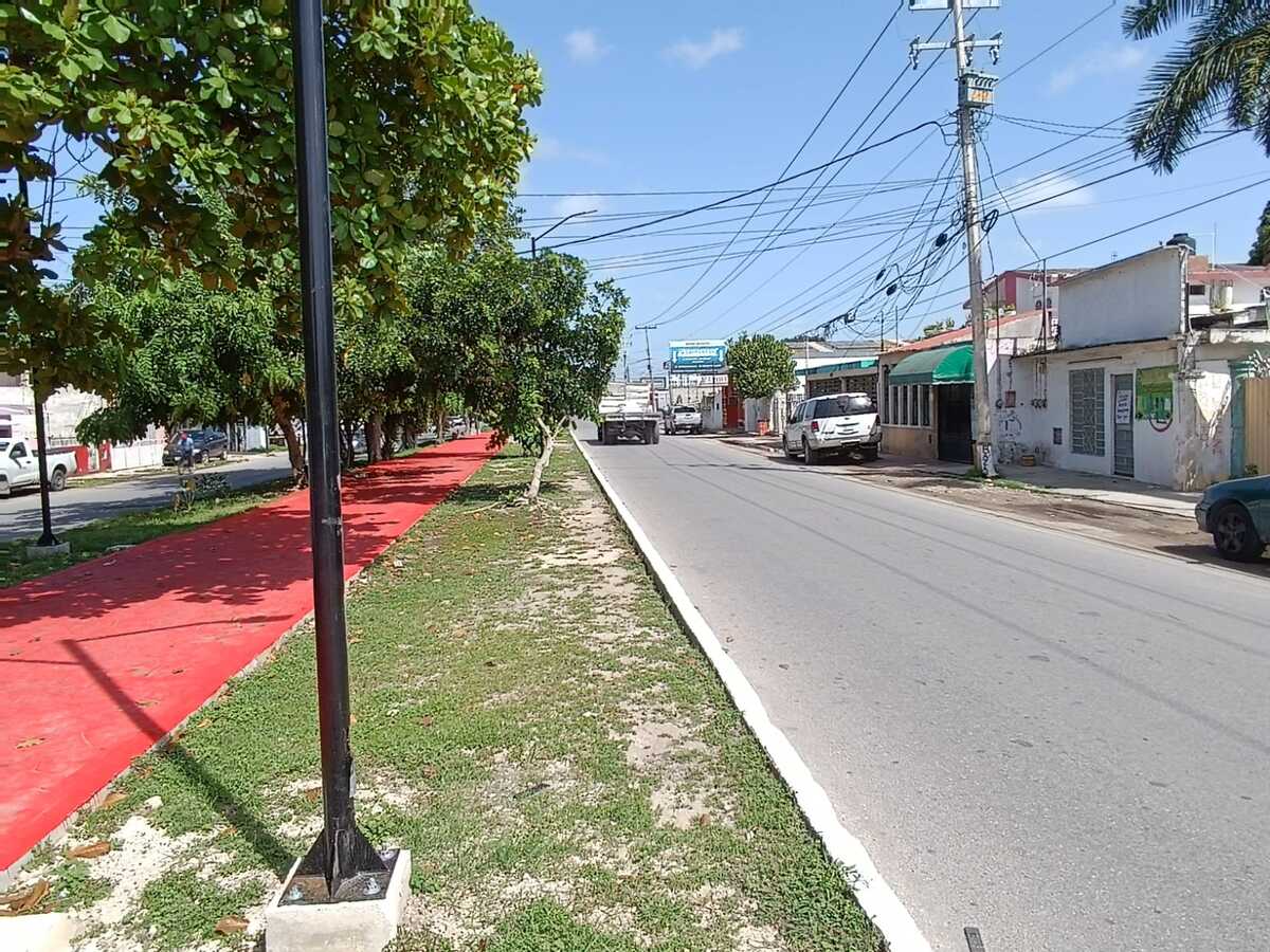 6 de 14
