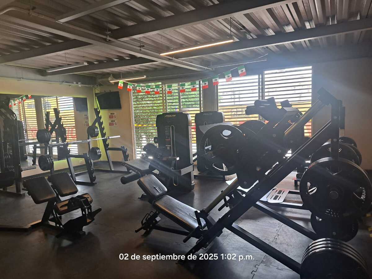5 of 11