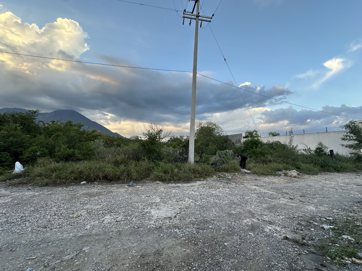 5 de 20
